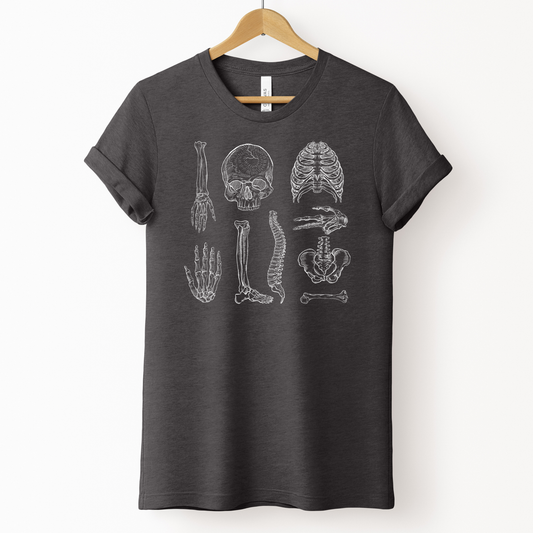 Illustrated Skeletons Design